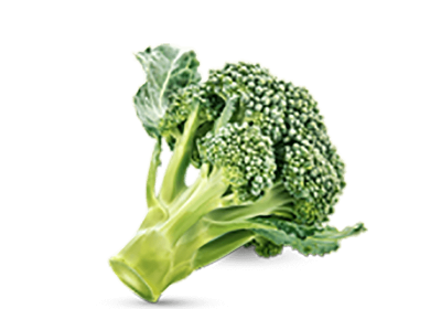 h3-product11 h3-product11