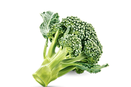 h3-product11 h3-product11