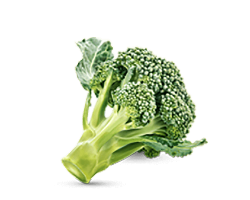 h3-product11 h3-product11