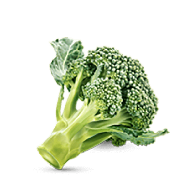 h3-product11 h3-product11