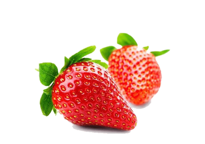 h3-product13 h3-product13