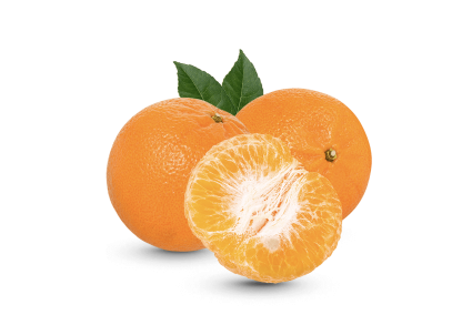 h3-product2 h3-product2