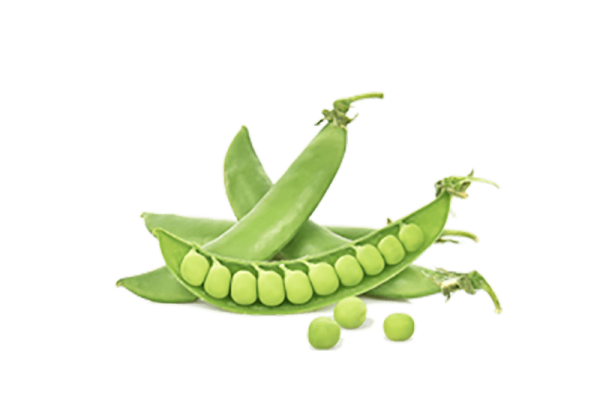 h3-product7 h3-product7